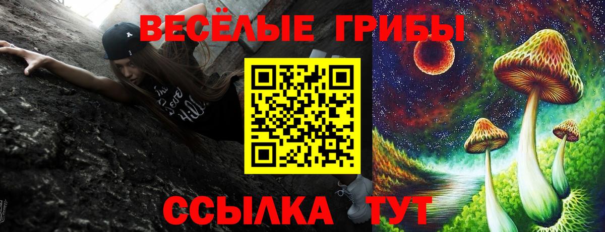 Галлюциногенные грибы GOLDEN TEACHER  Вход с VPN  Куйбышев  Галлюциногенные грибы ЛСД 