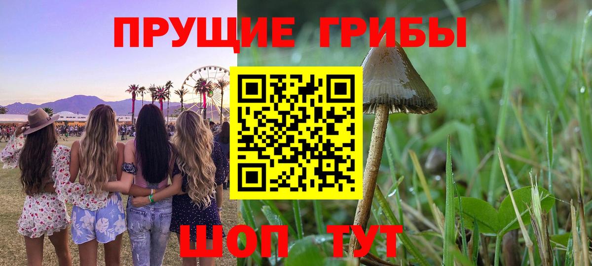 Галлюциногенные грибы мицелий Куйбышев